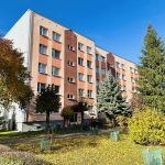 kamienna zamośc blok