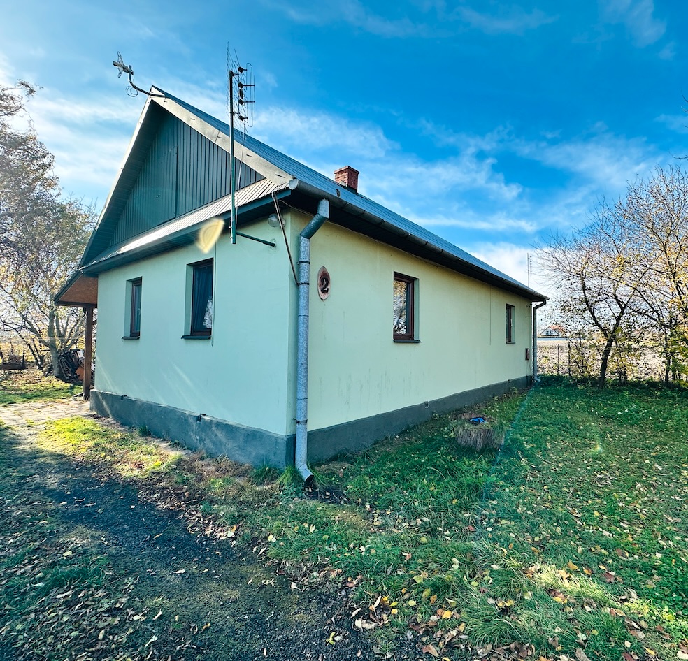 wierzbie dom na sprzedaż