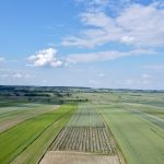 Mapa 5 działek w Sitańcu Błonie z powierzchniami